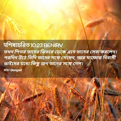 Picture 02 - पশিষ্যচরিত 10:23 BENIRV - তখন পিতর তাদের - Bible Verse Picture