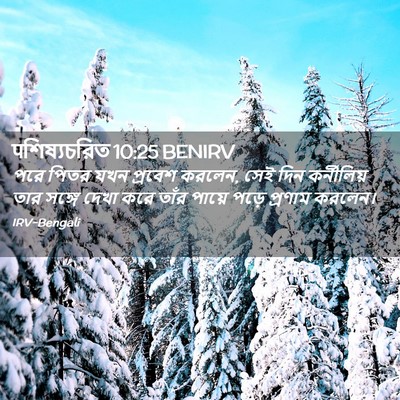 Picture 02 - पশিষ্যচরিত 10:25 BENIRV - পরে পিতর যখন - Bible Verse Picture