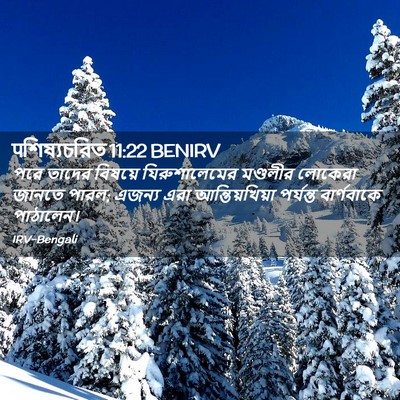 Picture 02 - पশিষ্যচরিত 11:22 BENIRV - পরে তাদের বিষয়ে - Bible Verse Picture