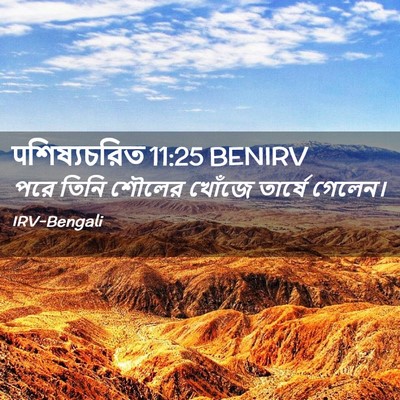 Picture 02 - पশিষ্যচরিত 11:25 BENIRV - পরে তিনি শৌলের - Bible Verse Picture