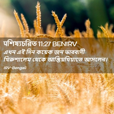 Picture 02 - पশিষ্যচরিত 11:27 BENIRV - এখন এই দিন কয়েক জন - Bible Verse Picture