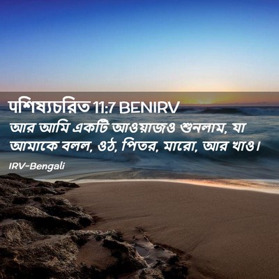 Picture 02 - पশিষ্যচরিত 11:7 BENIRV - আর আমি একটি - Bible Verse Picture