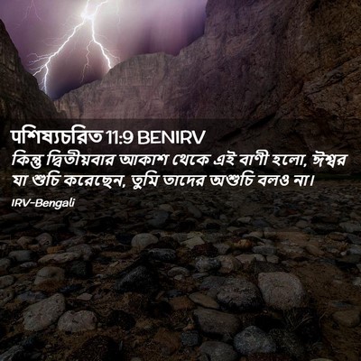 Picture 02 - पশিষ্যচরিত 11:9 BENIRV - কিন্তু - Bible Verse Picture