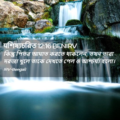 Picture 02 - पশিষ্যচরিত 12:16 BENIRV - কিন্তু পিতর আঘাত - Bible Verse Picture