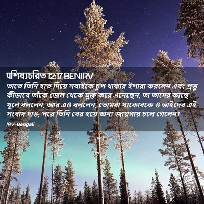Picture 02 - पশিষ্যচরিত 12:17 BENIRV - তাতে তিনি হাত - Bible Verse Picture