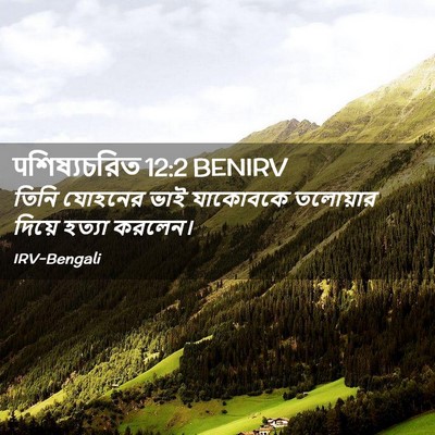 Picture 02 - पশিষ্যচরিত 12:2 BENIRV - তিনি যোহনের ভাই - Bible Verse Picture