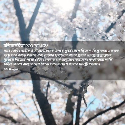 Picture 02 - पশিষ্যচরিত 12:20 BENIRV - আর তিনি সোরীয় ও - Bible Verse Picture