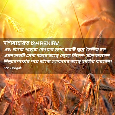 Picture 02 - पশিষ্যচরিত 12:4 BENIRV - এবং তাঁকে পাহারা - Bible Verse Picture