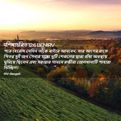 Picture 02 - पশিষ্যচরিত 12:6 BENIRV - পরে হেরোদ যেদিন - Bible Verse Picture
