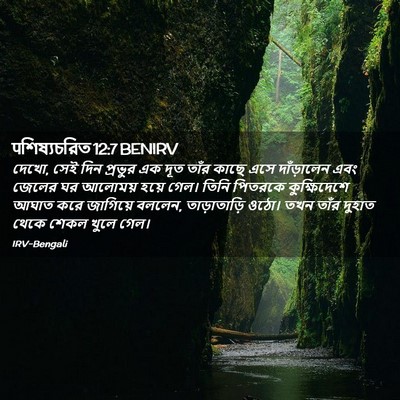 Picture 02 - पশিষ্যচরিত 12:7 BENIRV - দেখো, সেই দিন - Bible Verse Picture