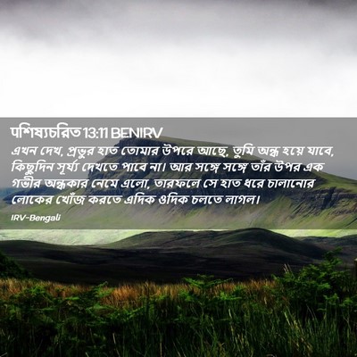 Picture 02 - पশিষ্যচরিত 13:11 BENIRV - এখন দেখ, প্রভুর হাত - Bible Verse Picture