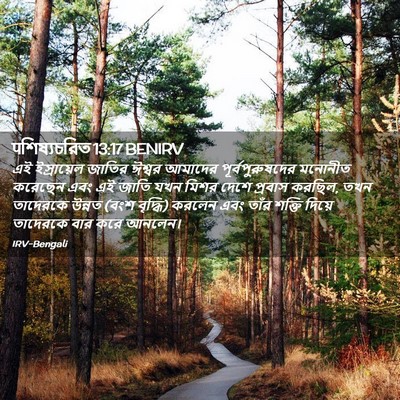 Picture 02 - पশিষ্যচরিত 13:17 BENIRV - এই ইস্রায়েল - Bible Verse Picture