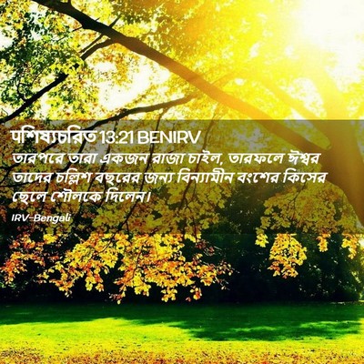 Picture 02 - पশিষ্যচরিত 13:21 BENIRV - তারপরে তারা একজন - Bible Verse Picture