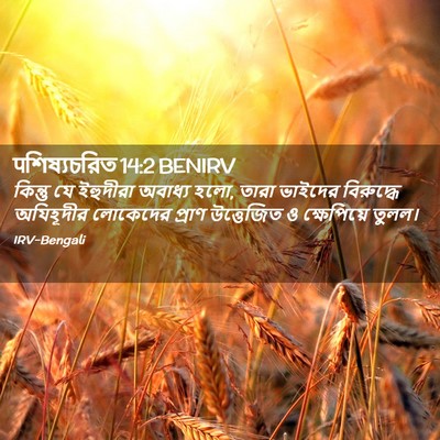 Picture 02 - पশিষ্যচরিত 14:2 BENIRV - কিন্তু যে ইহুদীরা - Bible Verse Picture