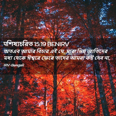 Picture 02 - पশিষ্যচরিত 15:19 BENIRV - অতএব আমার বিচার এই - Bible Verse Picture