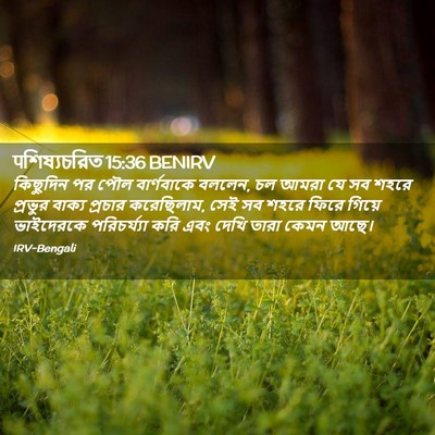 Picture 02 - पশিষ্যচরিত 15:36 BENIRV - কিছুদিন পর পৌল - Bible Verse Picture