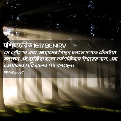 Picture 02 - पশিষ্যচরিত 16:17 BENIRV - সে পৌলের এবং - Bible Verse Picture