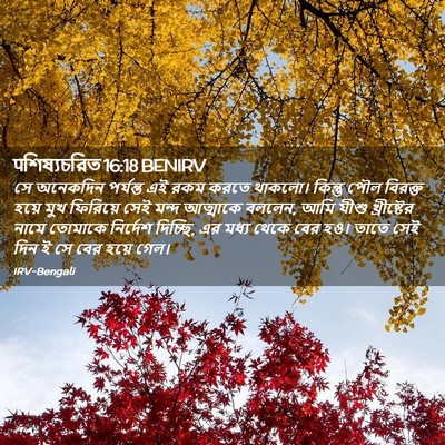 Picture 02 - पশিষ্যচরিত 16:18 BENIRV - সে অনেকদিন - Bible Verse Picture