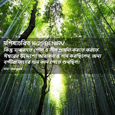 Picture 02 - पশিষ্যচরিত 16:25 BENIRV - কিন্তু মাঝরাতে - Bible Verse Picture