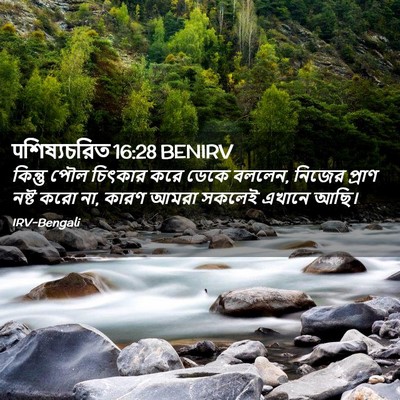Picture 02 - पশিষ্যচরিত 16:28 BENIRV - কিন্তু পৌল চিৎকার - Bible Verse Picture