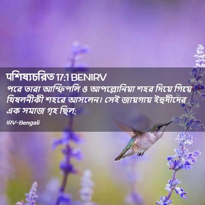 Picture 02 - पশিষ্যচরিত 17:1 BENIRV - পরে তারা আম্ফিপলি - Bible Verse Picture