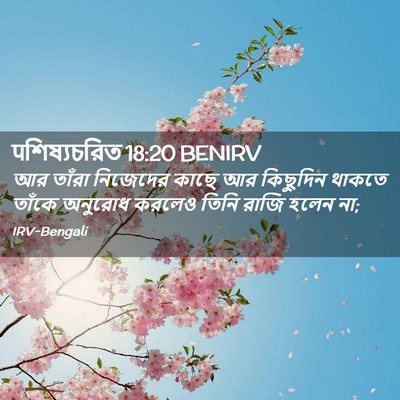 Picture 02 - पশিষ্যচরিত 18:20 BENIRV - আর তাঁরা নিজেদের - Bible Verse Picture