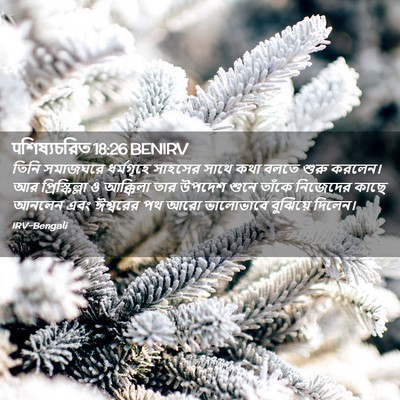 Picture 02 - पশিষ্যচরিত 18:26 BENIRV - তিনি সমাজঘরে - Bible Verse Picture