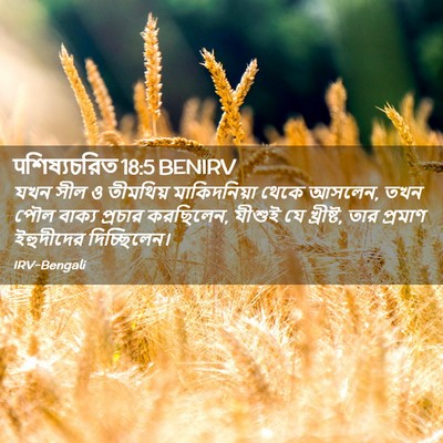 Picture 02 - पশিষ্যচরিত 18:5 BENIRV - যখন সীল ও তীমথিয় - Bible Verse Picture
