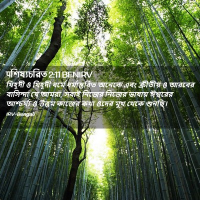 Picture 02 - पশিষ্যচরিত 2:11 BENIRV - যিহূদী ও যিহূদী - Bible Verse Picture