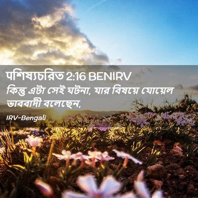 Picture 02 - पশিষ্যচরিত 2:16 BENIRV - কিন্তু এটা সেই - Bible Verse Picture