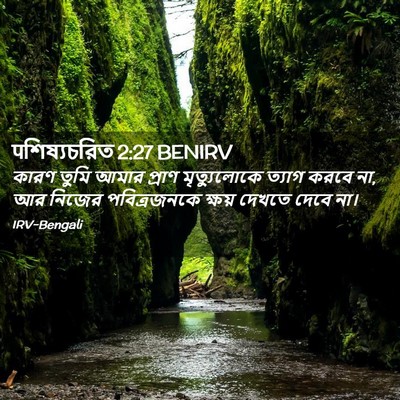 Picture 02 - पশিষ্যচরিত 2:27 BENIRV - কারণ তুমি আমার - Bible Verse Picture