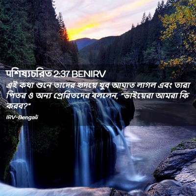 Picture 02 - पশিষ্যচরিত 2:37 BENIRV - এই কথা শুনে তাদের - Bible Verse Picture