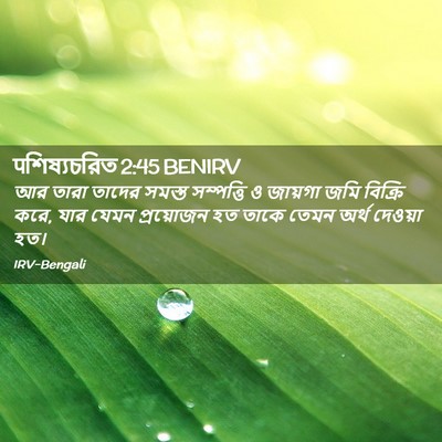 Picture 02 - पশিষ্যচরিত 2:45 BENIRV - আর তারা তাদের - Bible Verse Picture