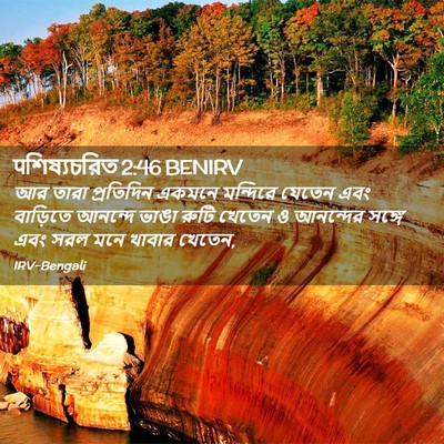 Picture 02 - पশিষ্যচরিত 2:46 BENIRV - আর তারা প্রতিদিন - Bible Verse Picture