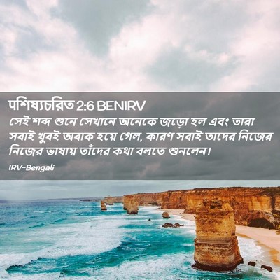 Picture 02 - पশিষ্যচরিত 2:6 BENIRV - সেই শব্দ শুনে - Bible Verse Picture