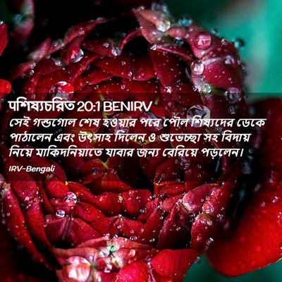 Picture 02 - पশিষ্যচরিত 20:1 BENIRV - সেই গন্ডগোল শেষ - Bible Verse Picture