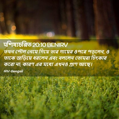 Picture 02 - पশিষ্যচরিত 20:10 BENIRV - তখন পৌল নেমে গিয়ে - Bible Verse Picture
