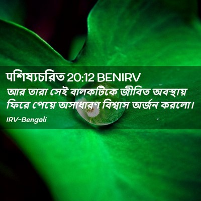 Picture 02 - पশিষ্যচরিত 20:12 BENIRV - আর তারা সেই - Bible Verse Picture