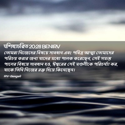 Picture 02 - पশিষ্যচরিত 20:28 BENIRV - তোমরা নিজেদের - Bible Verse Picture