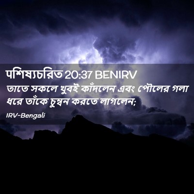 Picture 02 - पশিষ্যচরিত 20:37 BENIRV - তাতে সকলে খুবই - Bible Verse Picture