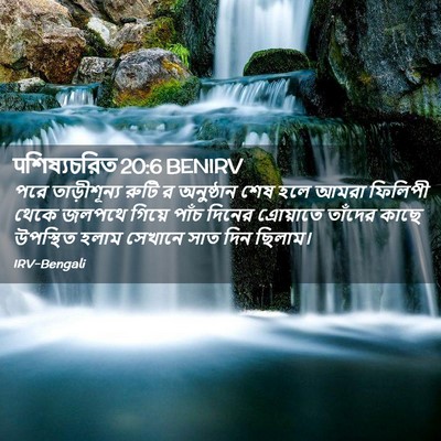 Picture 02 - पশিষ্যচরিত 20:6 BENIRV - পরে তাড়ীশূন্য - Bible Verse Picture
