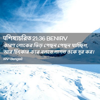 Picture 02 - पশিষ্যচরিত 21:36 BENIRV - কারণ লোকের ভিড় - Bible Verse Picture