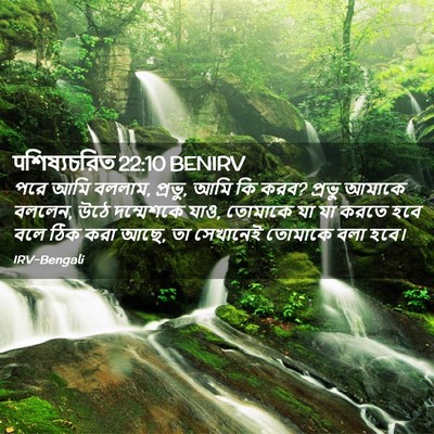 Picture 02 - पশিষ্যচরিত 22:10 BENIRV - পরে আমি বললাম, - Bible Verse Picture