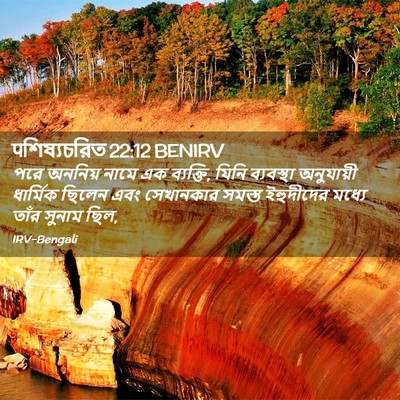 Picture 02 - पশিষ্যচরিত 22:12 BENIRV - পরে অননিয় নামে এক - Bible Verse Picture