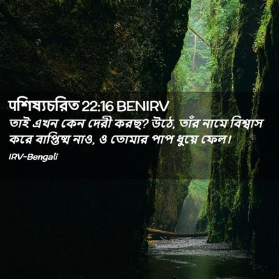 Picture 02 - पশিষ্যচরিত 22:16 BENIRV - তাই এখন কেন দেরী - Bible Verse Picture