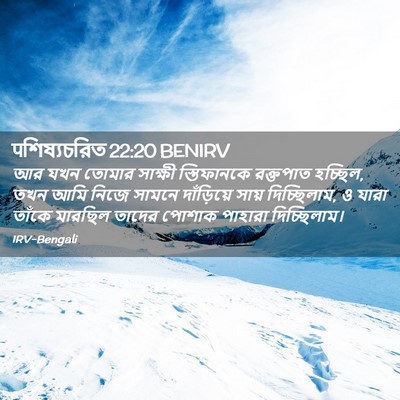 Picture 02 - पশিষ্যচরিত 22:20 BENIRV - আর যখন তোমার - Bible Verse Picture