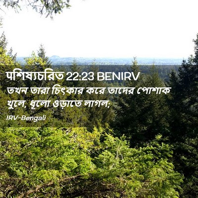 Picture 02 - पশিষ্যচরিত 22:23 BENIRV - তখন তারা চিৎকার - Bible Verse Picture