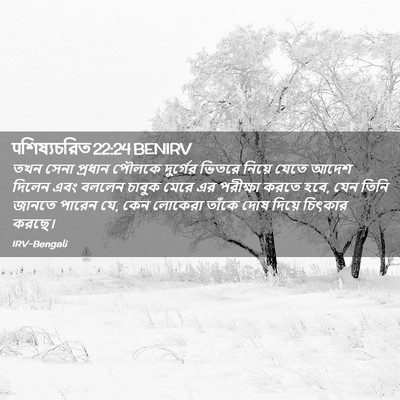 Picture 02 - पশিষ্যচরিত 22:24 BENIRV - তখন সেনা প্রধান - Bible Verse Picture