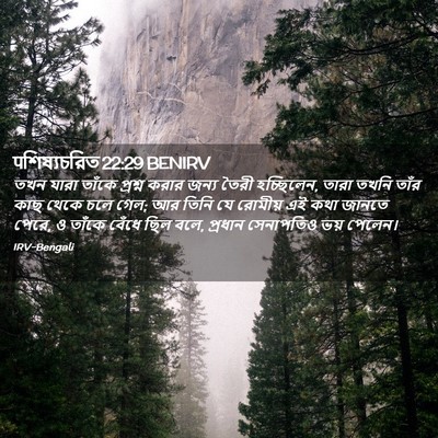 Picture 02 - पশিষ্যচরিত 22:29 BENIRV - তখন যারা তাঁকে - Bible Verse Picture