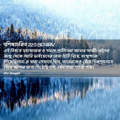 Picture 02 - पশিষ্যচরিত 22:5 BENIRV - এই বিষয়ে মহাযাজক - Bible Verse Picture